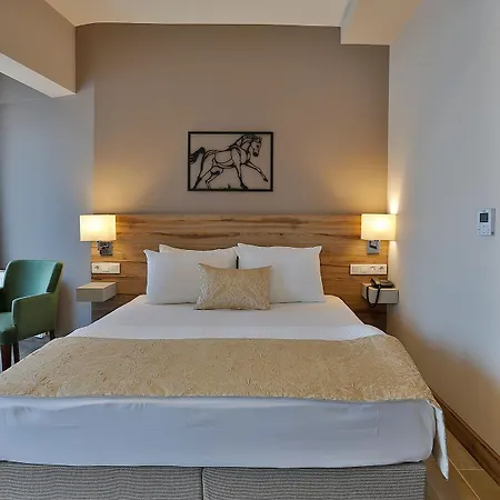 Kule Hotel 3*